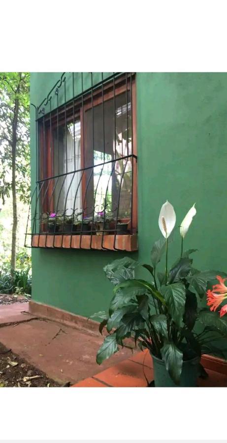 דירות פוארטו איגואסו Jardin De Naipi מראה חיצוני תמונה